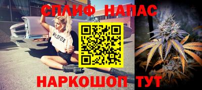 гидра Балахна