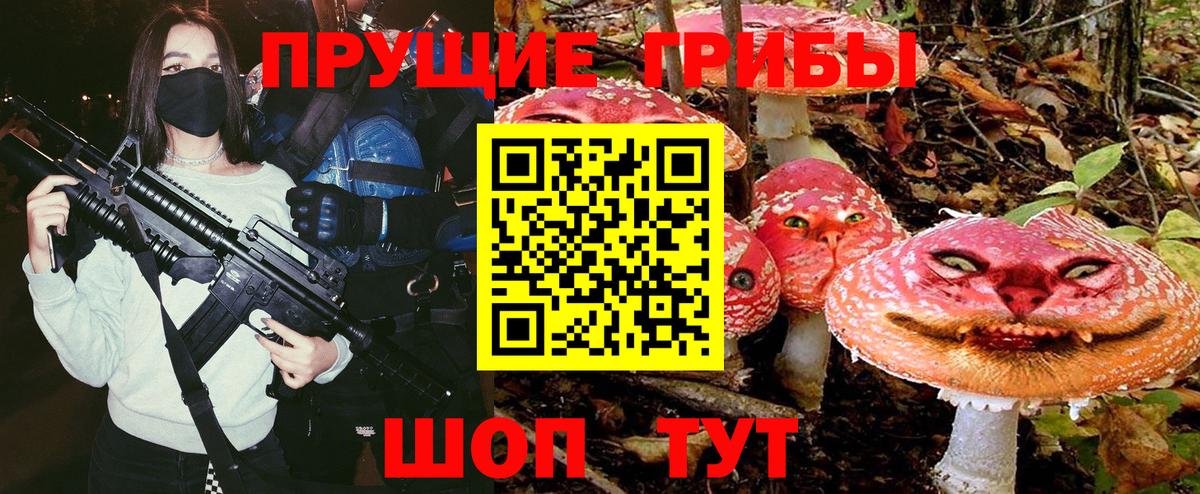 Псилоцибиновые грибы Psilocybe Елец