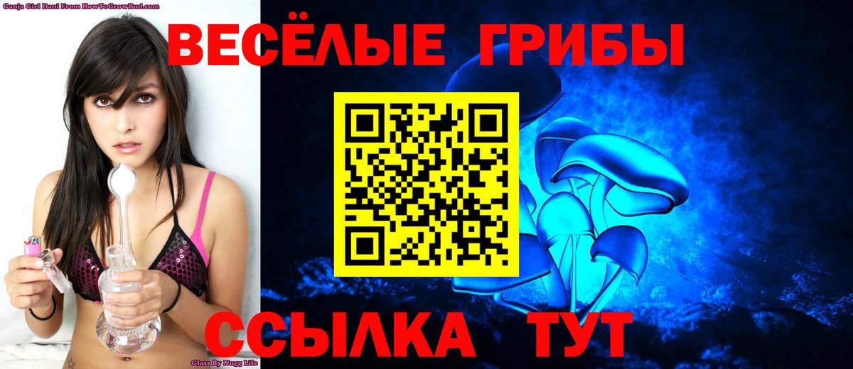 Елец  Псилоцибиновые грибы Psilocybe  Вход с VPN 
